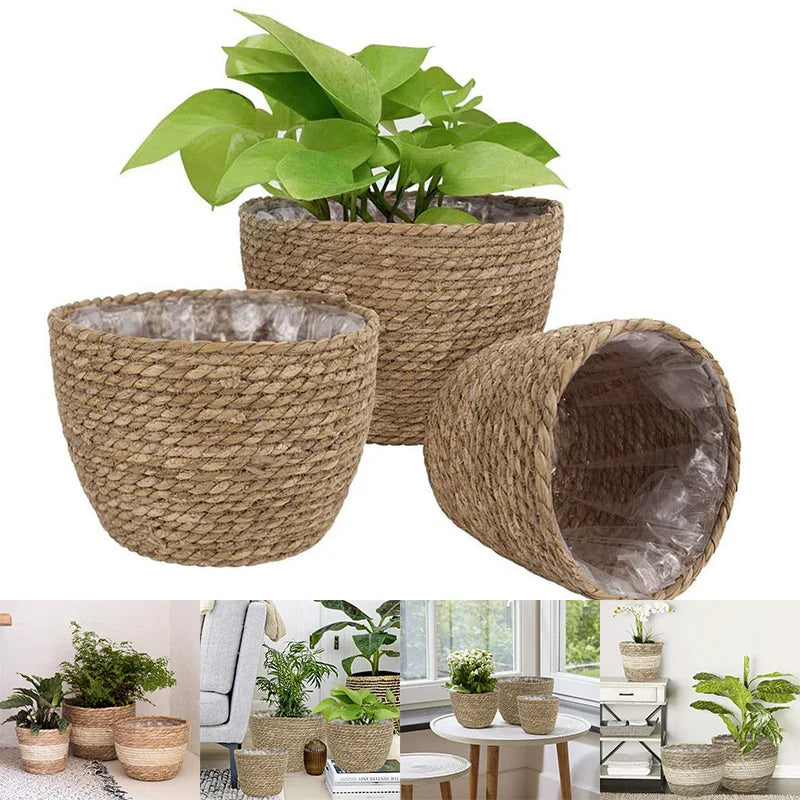 Seagrass Planter Basket: Eco-Friendly Elegance for Plant Lovers