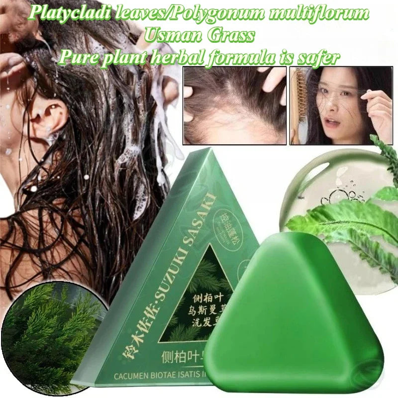 Savon Shampoing Nourrissant pour Cheveux Vibrants - Platycladi