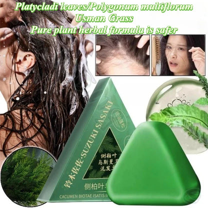 Savon Shampoing Nourrissant pour Cheveux Vibrants - Platycladi